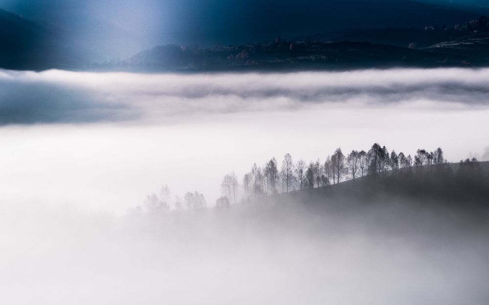 Фотография автора Flegner Calin