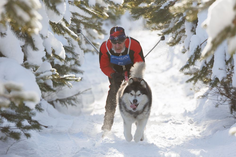 Photograph by Илья Юфа