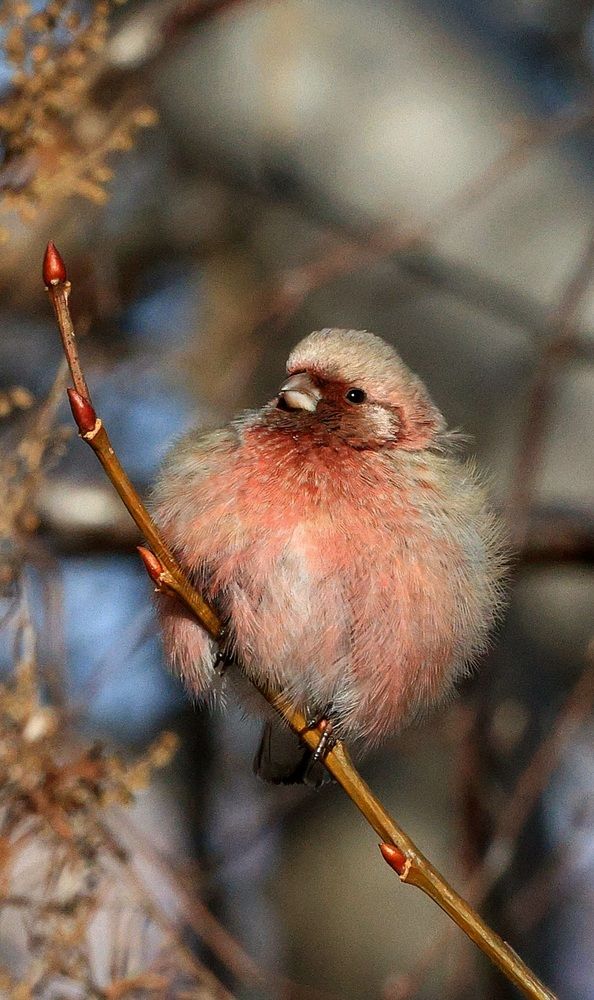 Photograph by Евгений Мельниченко