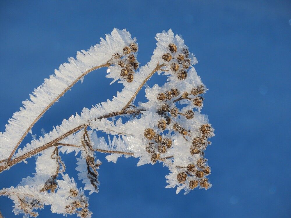 Photograph by Ольга Митрофанова