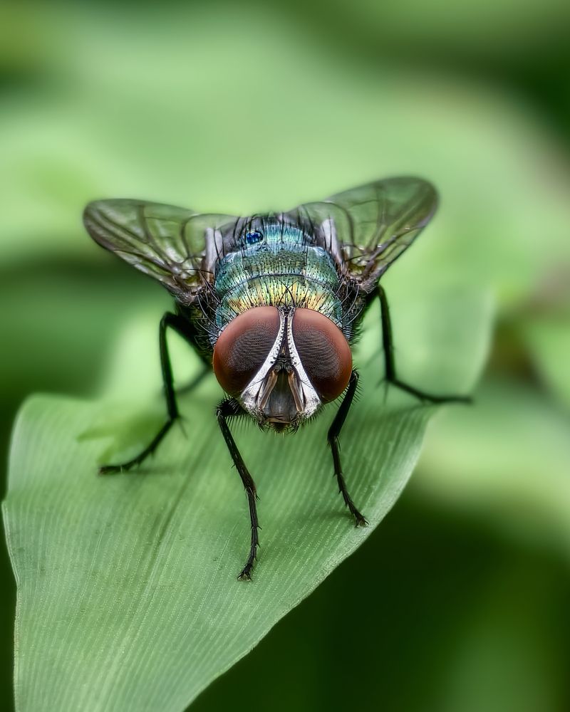 Photograph by Kedarnath M S