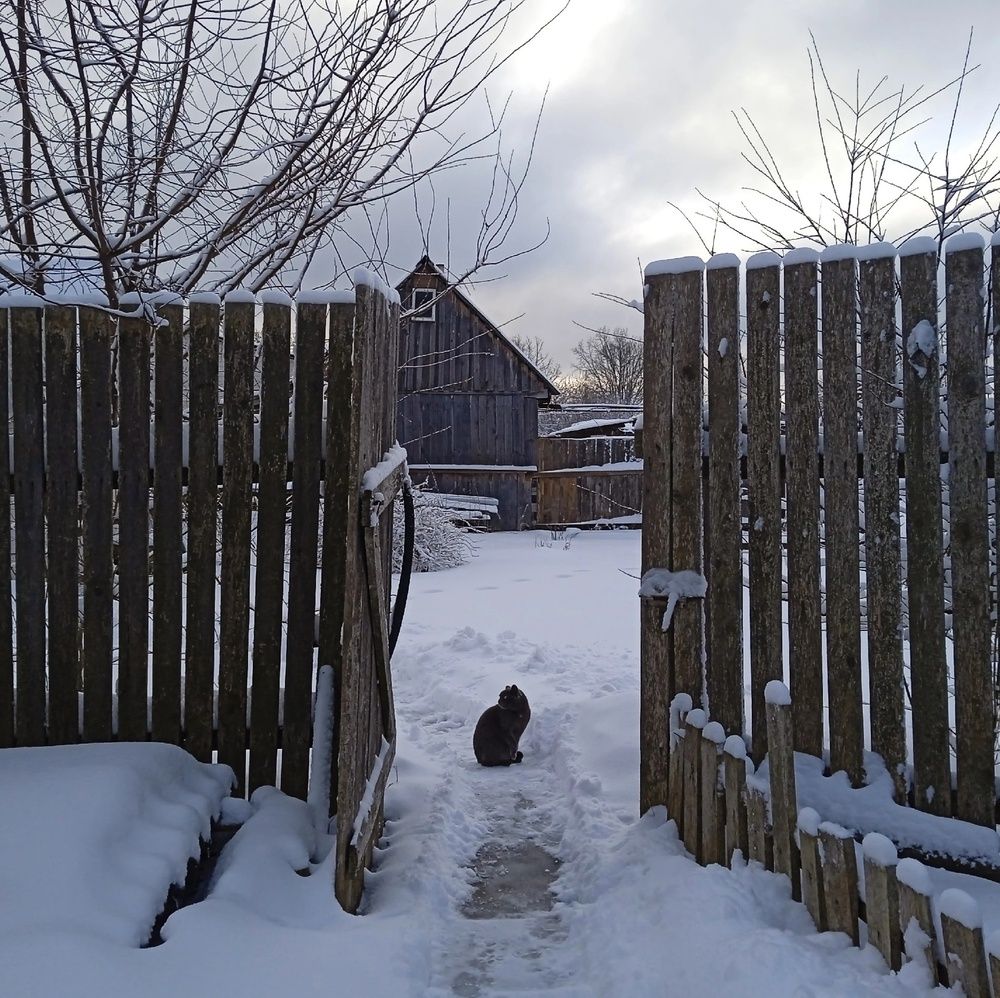 Photograph by Елена Большунова