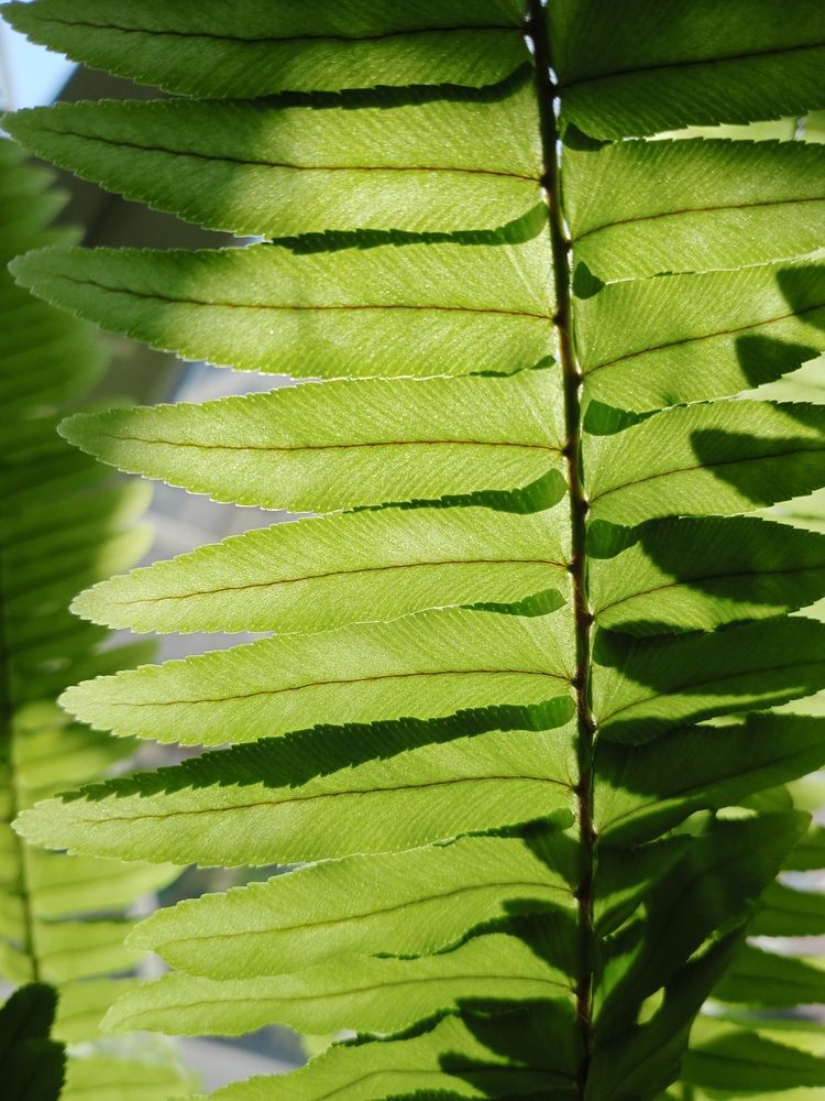 Photograph by Juan David Cabrera Betancourth