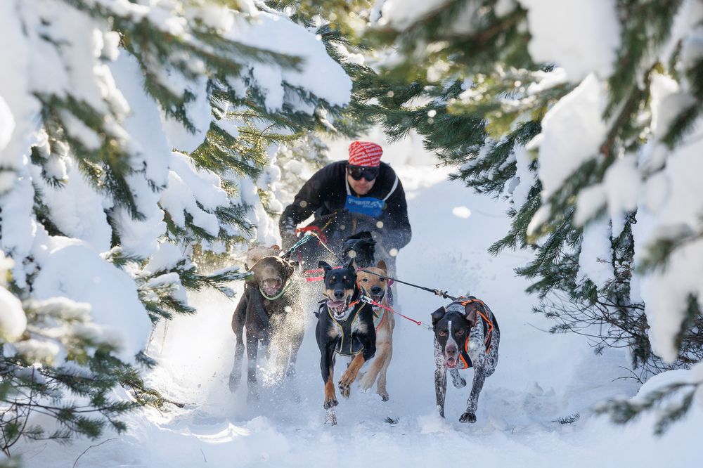 Photograph by Илья Юфа