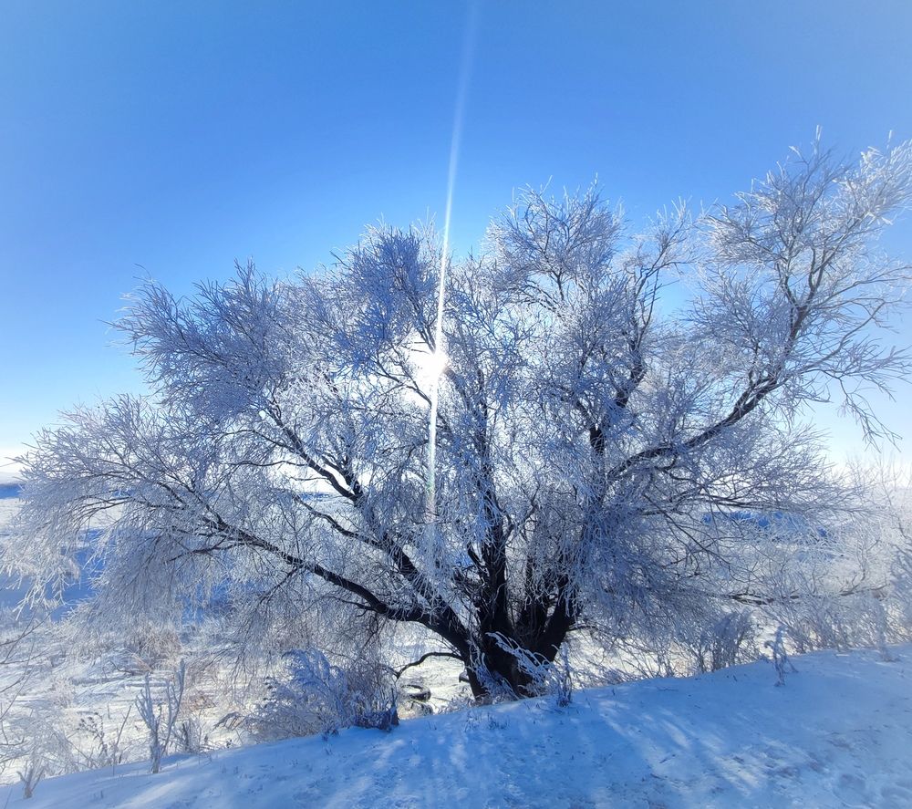 Photograph by Кристина Медведюк