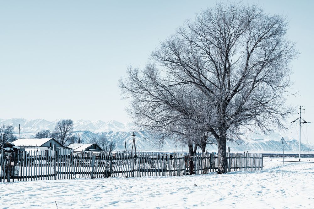 Photograph by vladislav kim kim