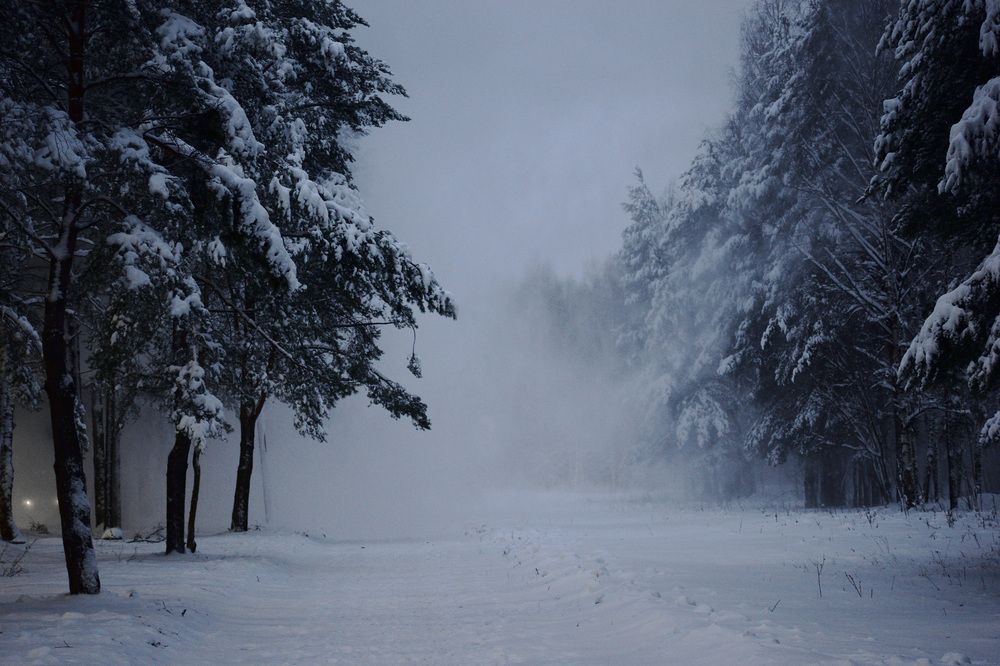 Photograph by Юлия Горбунова