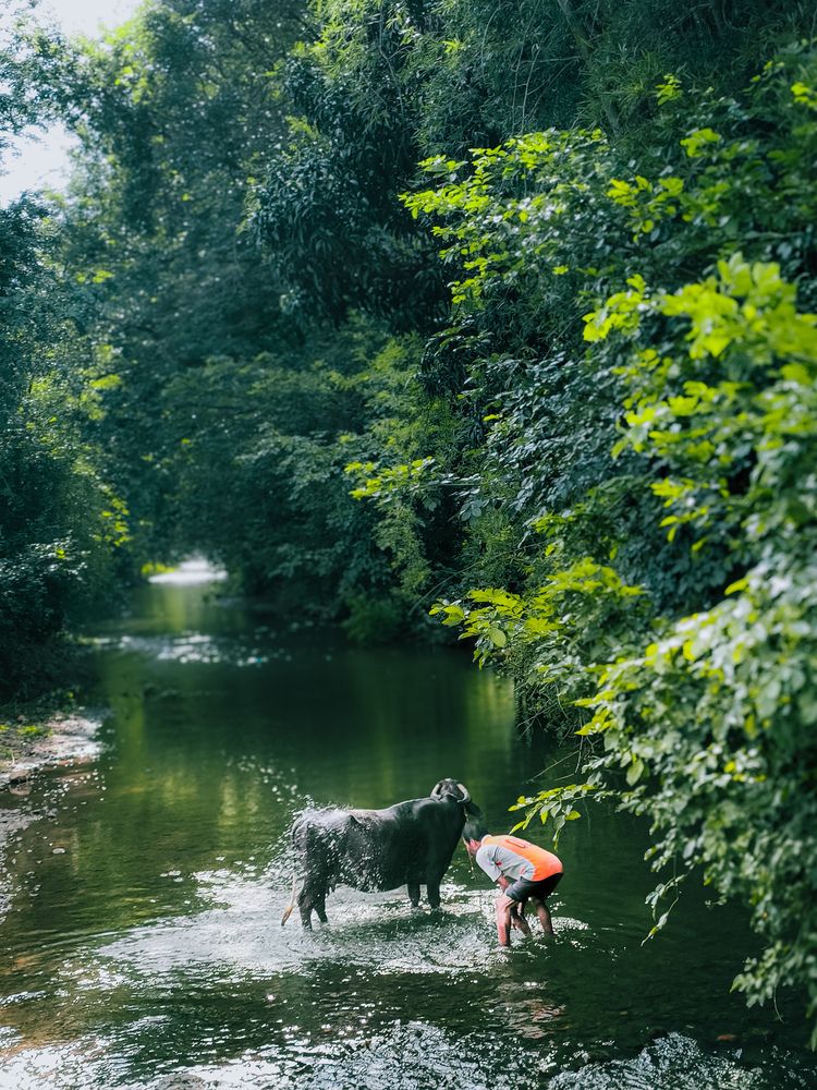 Photograph by Rohit Tonapi