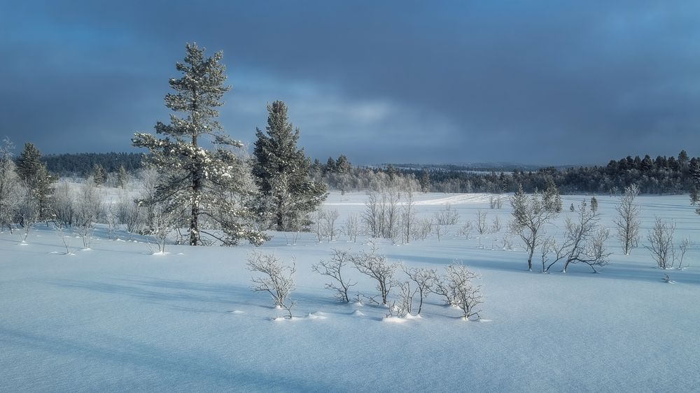 Месяц длинных теней