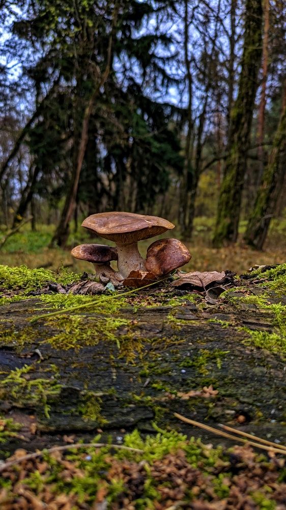 Photograph by Ольга и Андрей Трухан