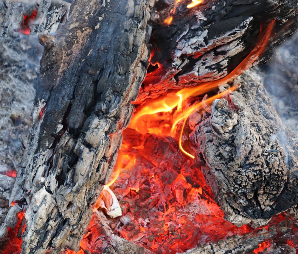 Photograph by Татьяна Пашинцева