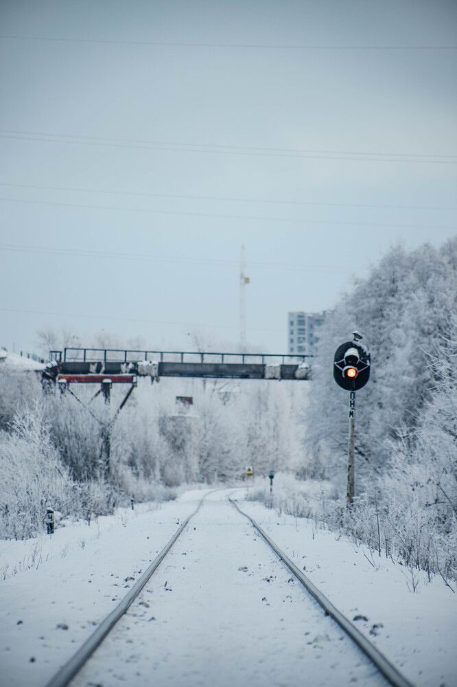Photograph by Дарья Овчинникова