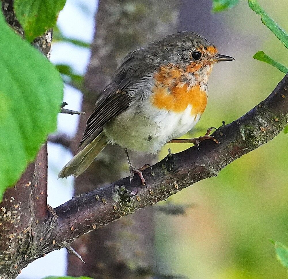 Photograph by Михаил Трусов