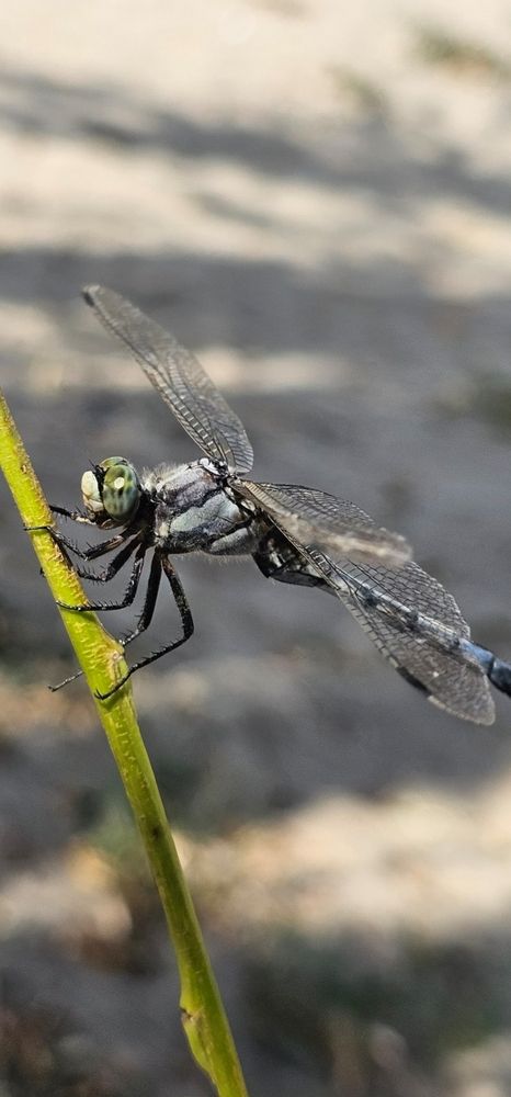 Photograph by Елизавета