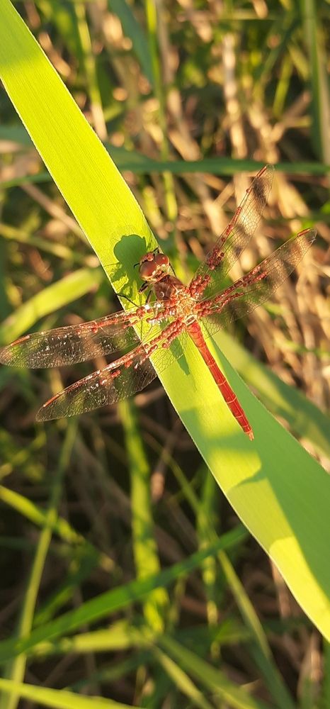 Photograph by Елизавета