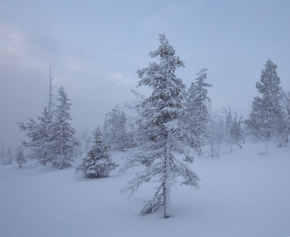 Photograph by Елена Хорохорина