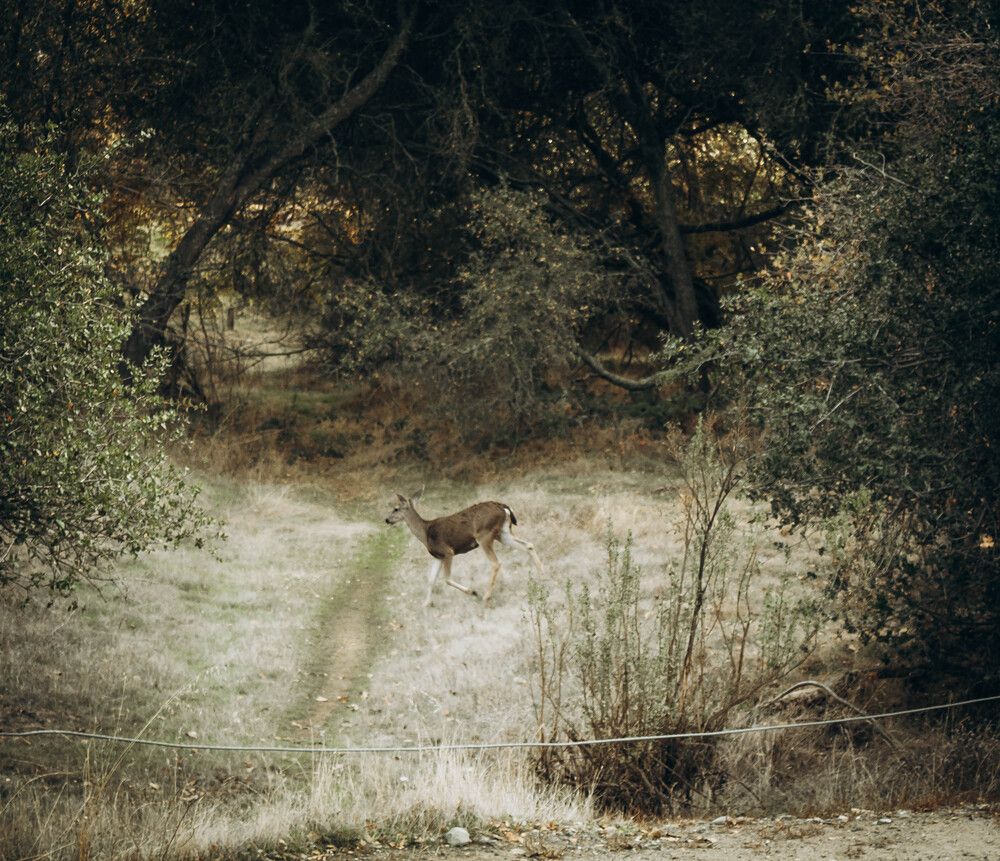 Photograph by Inha Dybchenko