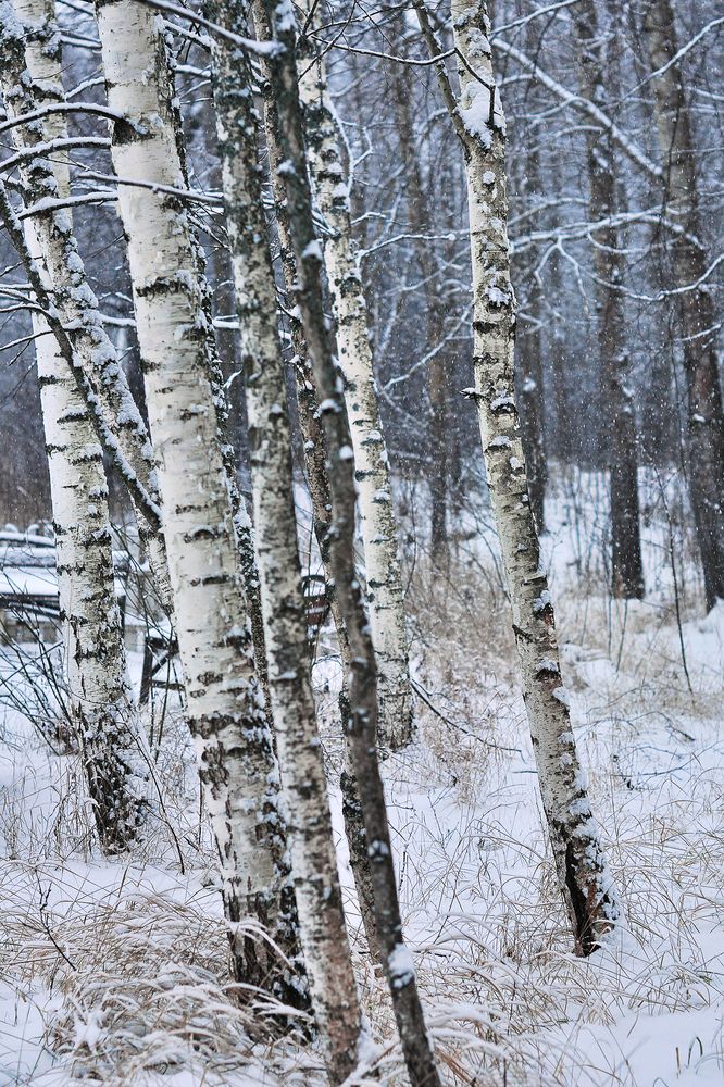 Photograph by  Kerry Moore