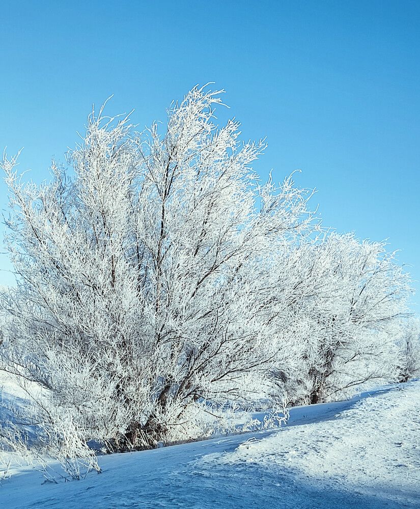 Photograph by Кристина Медведюк