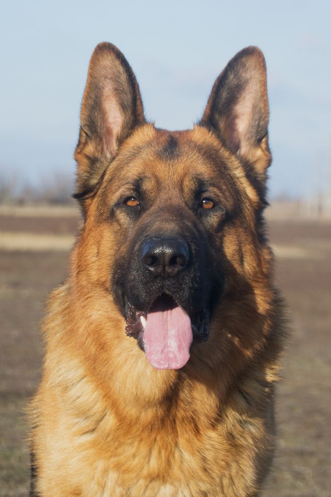 Photograph by Дарья Сычева