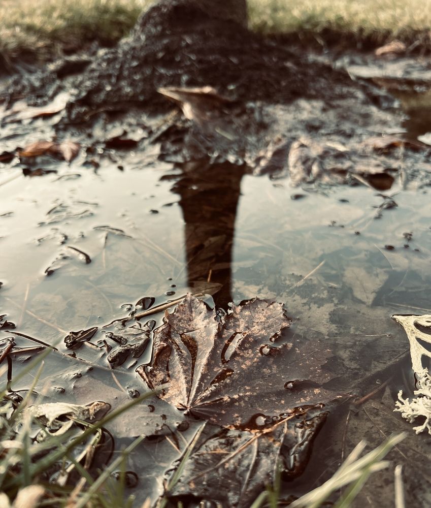 Фотография автора Diana