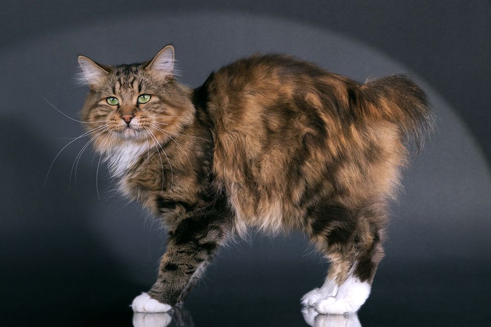 Photograph by Евгений Просвирнин