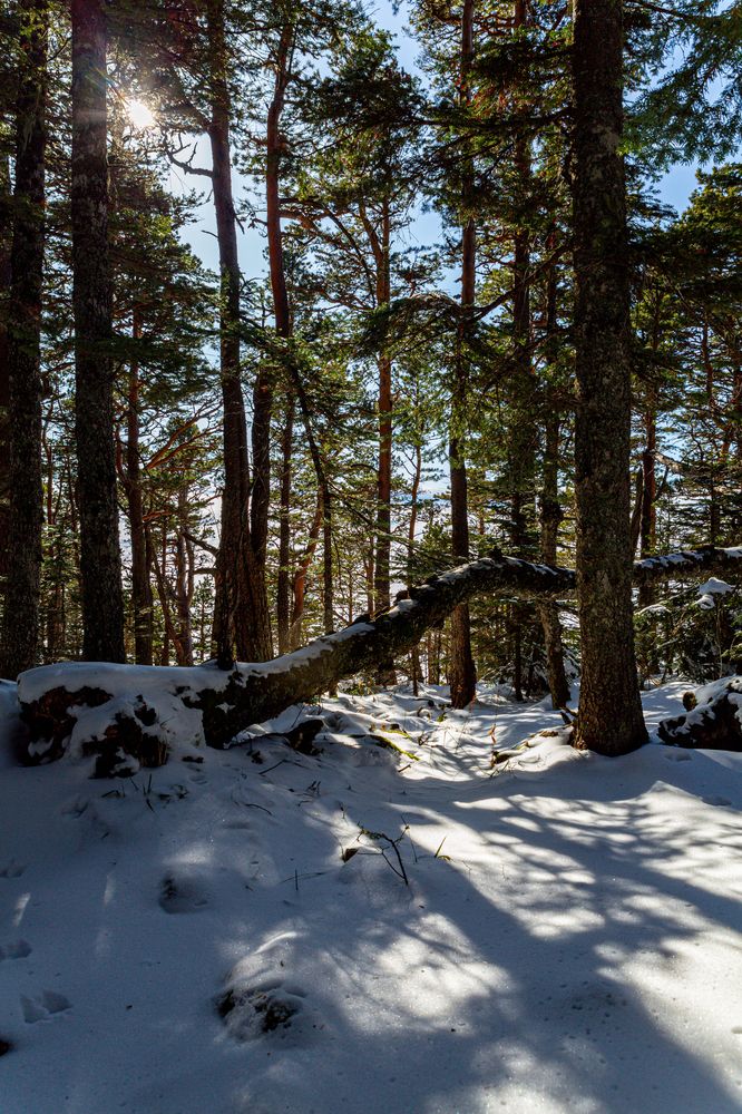 Фотография автора Оксана Кулинская