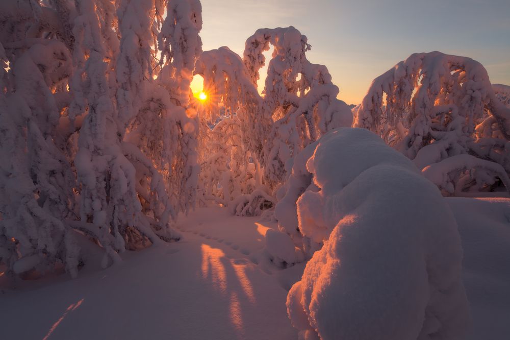 Фотография автора Бушмакин Егор