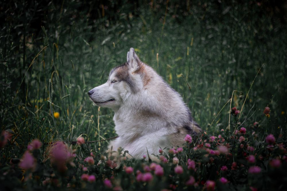Photograph by Марина Соловьева
