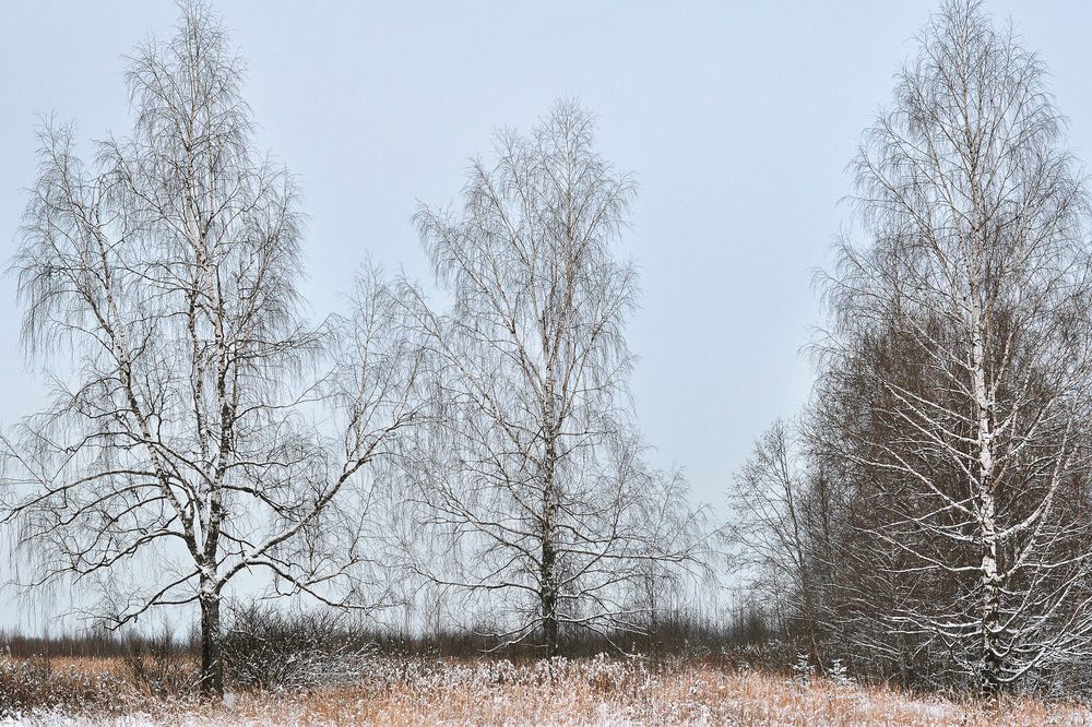 Photograph by  Kerry Moore