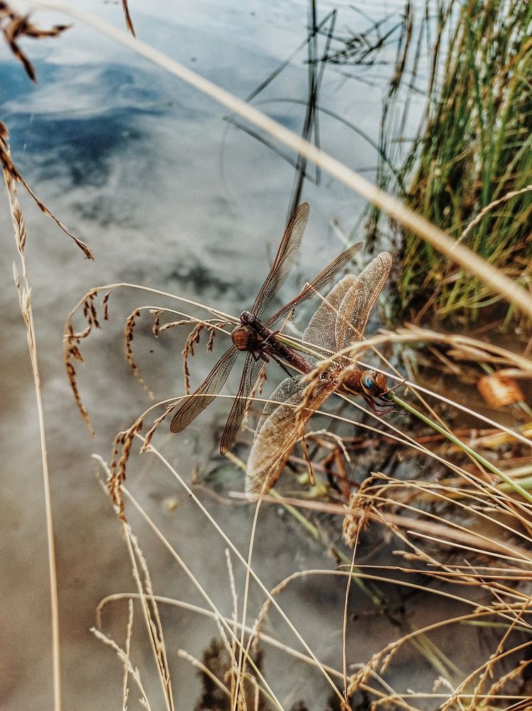 Photograph by Ksenia Paramonova