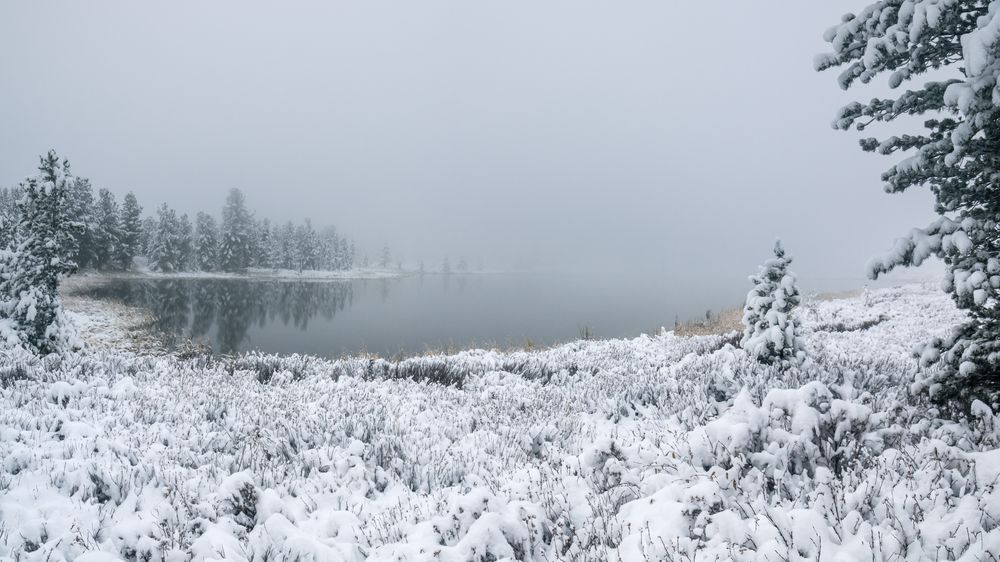 Photograph by Devender Mark