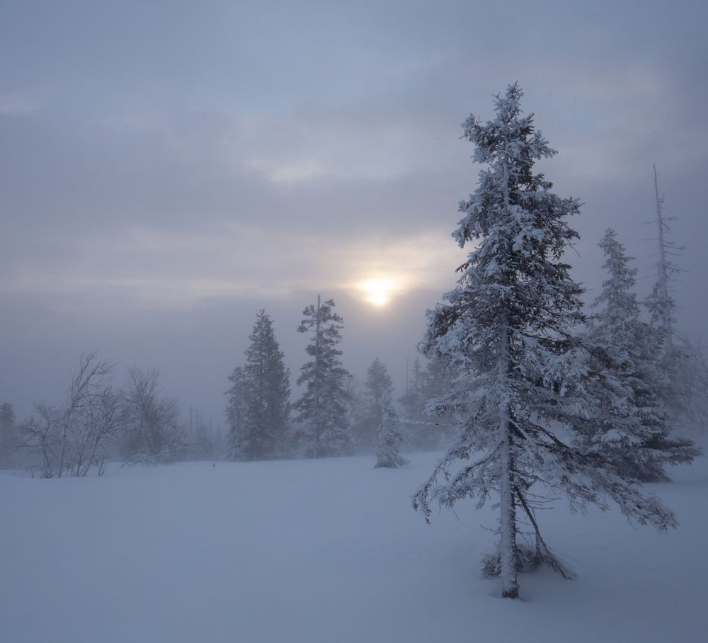 Photograph by Елена Хорохорина