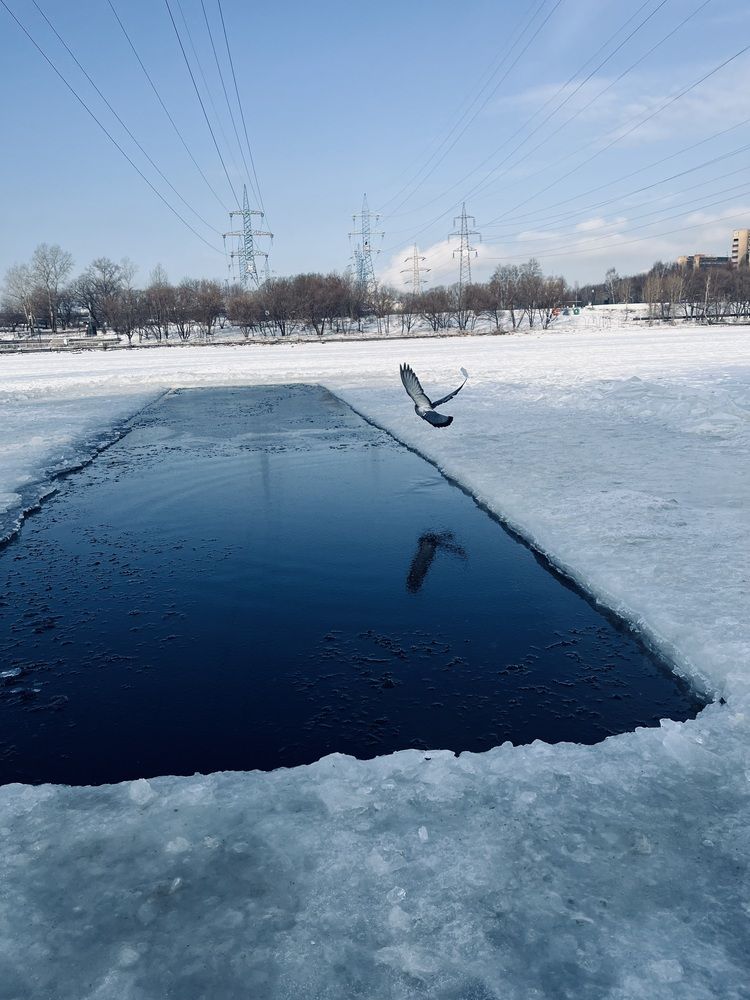 Photograph by Svet