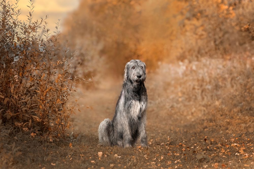 Photograph by Татьяна Тихомирова