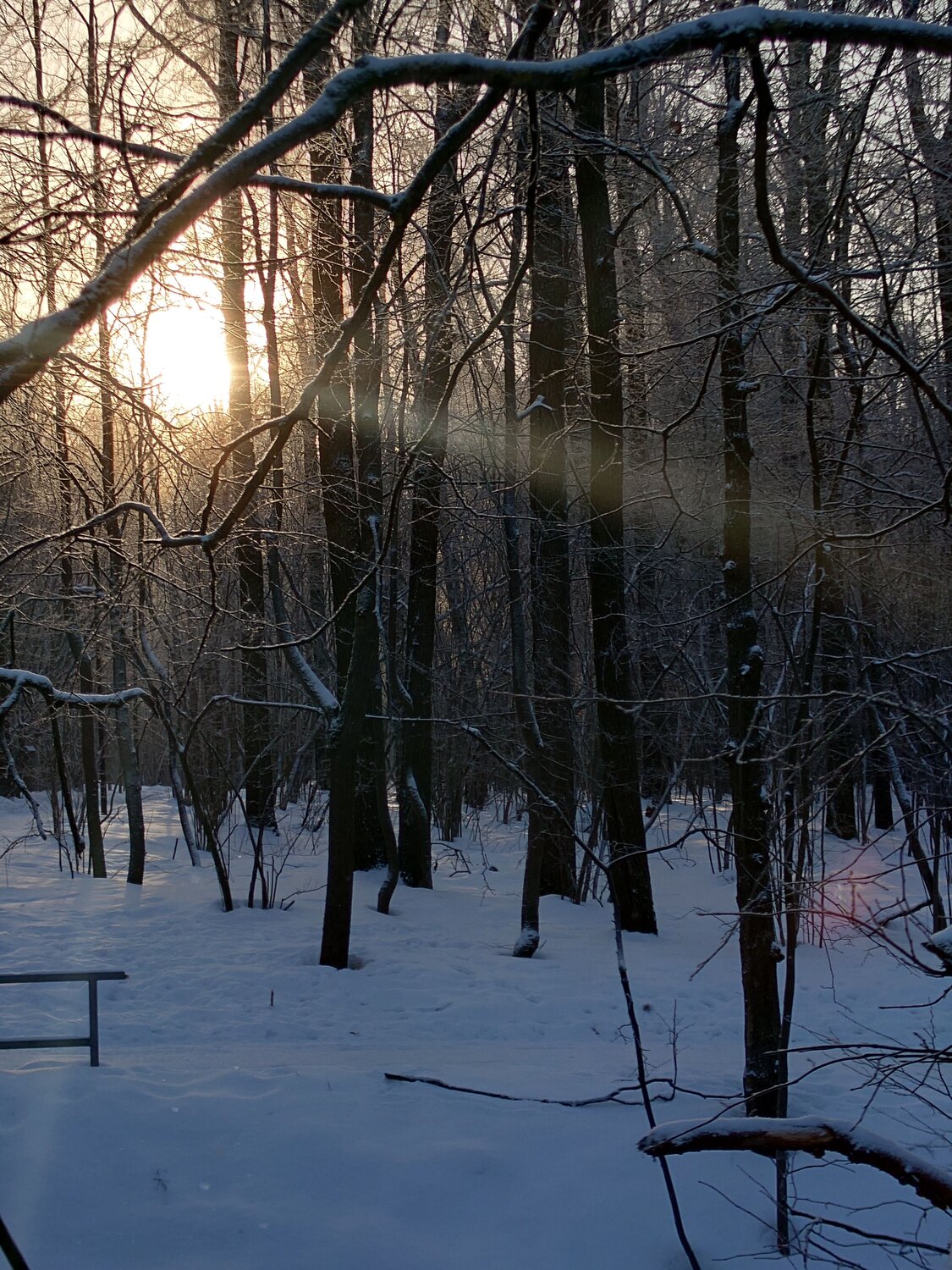 Photo #11963847