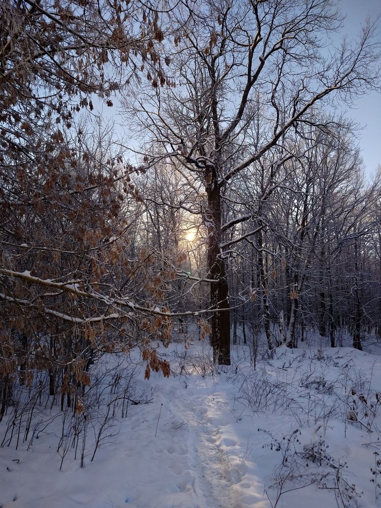 Photo #11963886