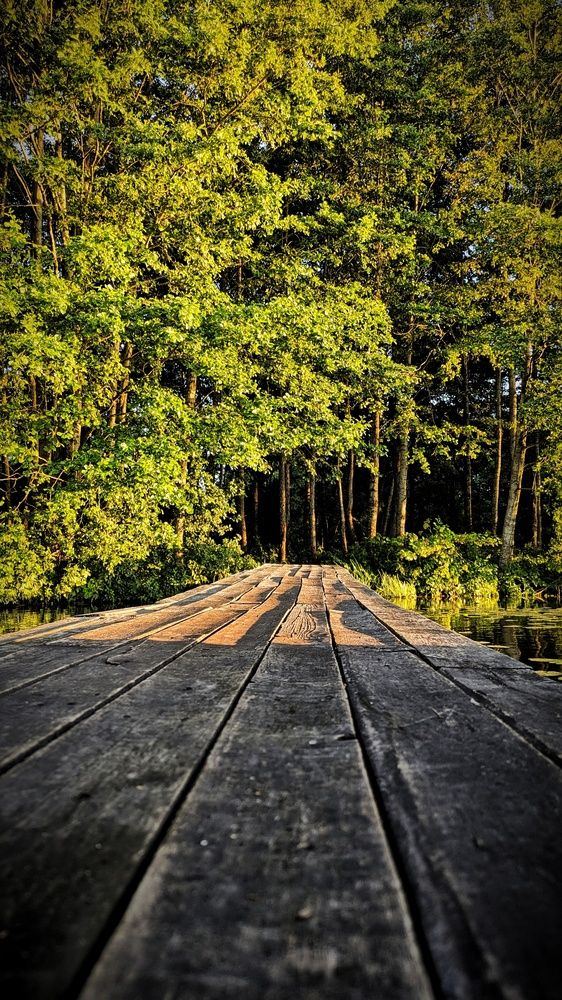 Photograph by Ольга и Андрей Трухан