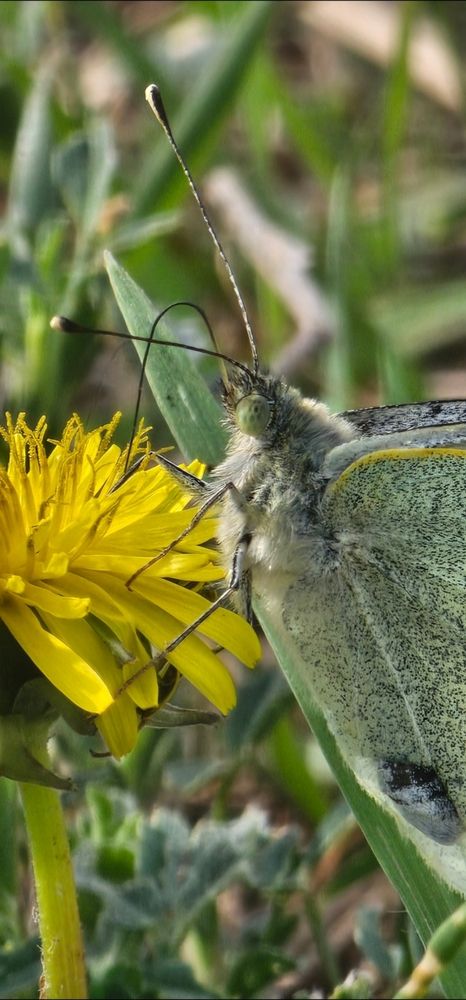 Photograph by Елизавета