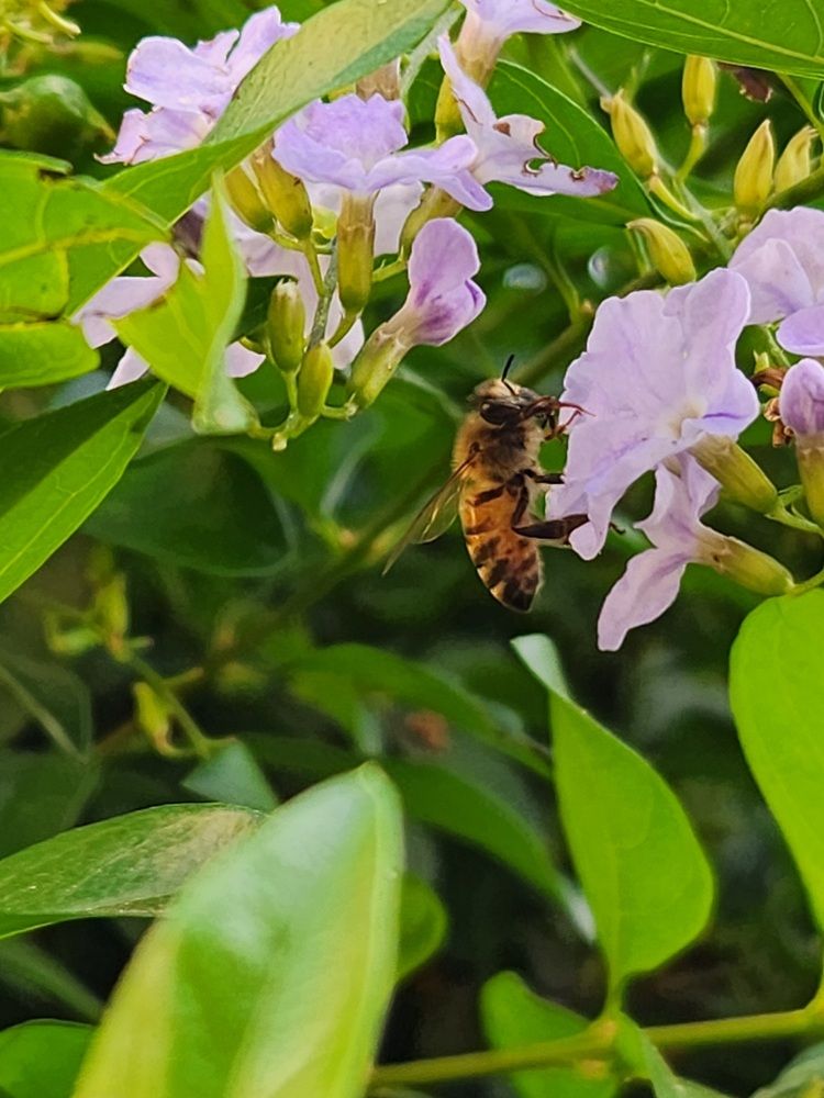 Photograph by Sveta Mitlansky