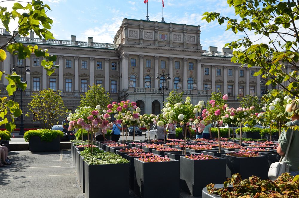 Photograph by Зинаида Фадеева