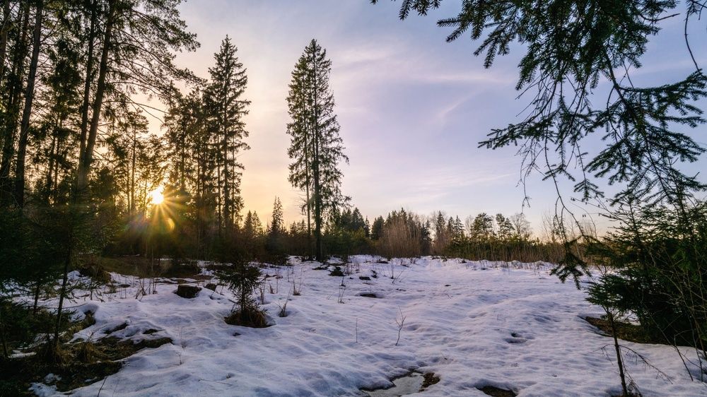 Photograph by Алексей Жариков