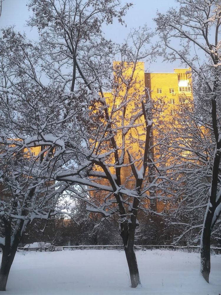 Photograph by Данил Савин