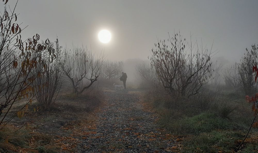 Photograph by Татьяна Ситникова