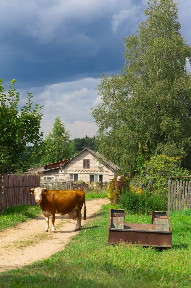Photograph by Даниил Хейфец