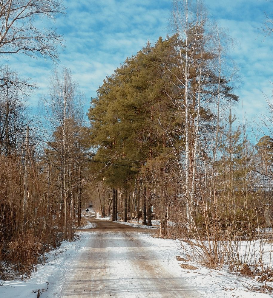 Photograph by Леонид Шнейдерман