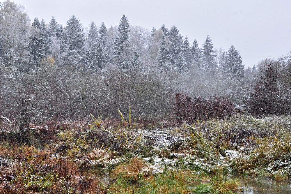 Photograph by  Kerry Moore