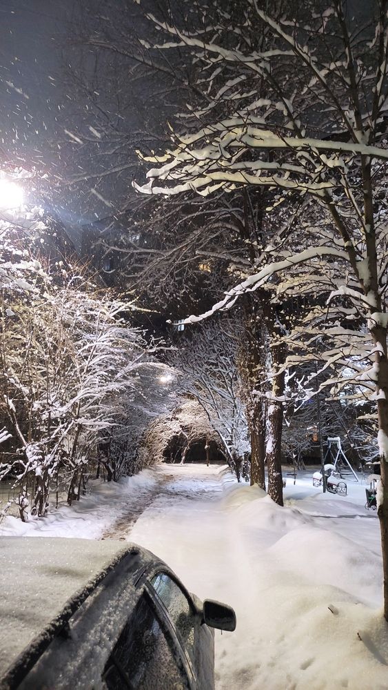 Photograph by Олеся