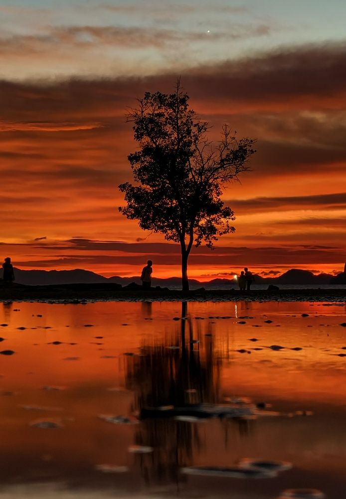 Фотография автора Светлана Зимина