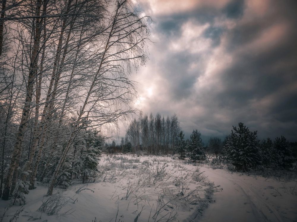 Photograph by Кирилл Сидоров